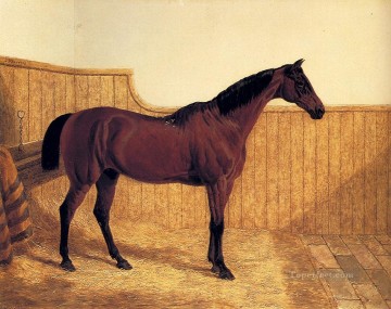  pferd - Ein Bay Hunter in einer Loose Box Hering Snr John Frederick Rennpferd